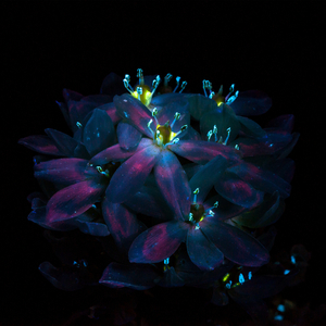 音乐学院美女被轮文音
