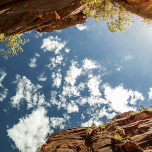 音乐学院美女被轮文音
